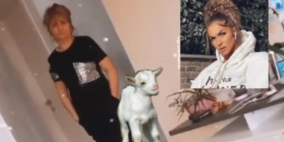 TEODORA HOĆE DA DOVEDE JARE U STAN! Goca je ZGROMILA - Ovako ni ZADRUGARIMA ne drži LEKCIJE! (VIDEO)