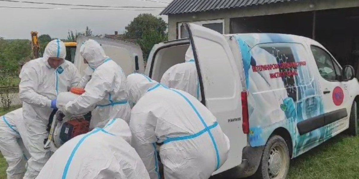 Šok obrt! Starca iz Aleksinca nije ubila svinja: Sve izmislio rođak, ovo je uzrok smrti!