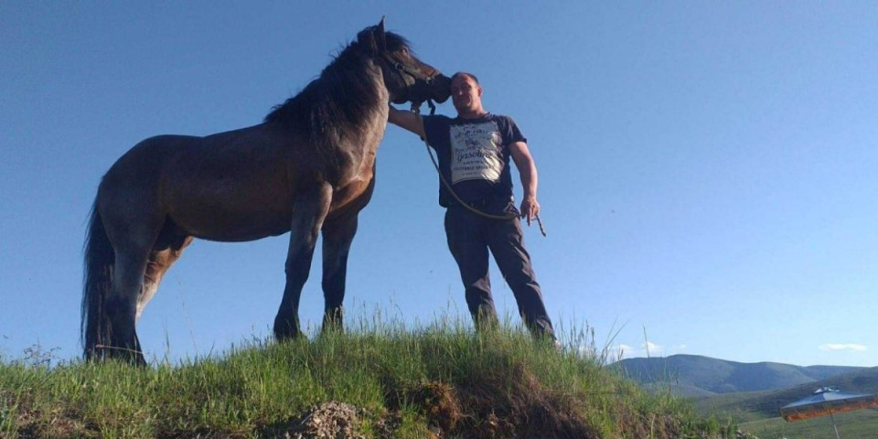 Milošu sa Zlatibora manijak mučki ubio konja: Nesrećnu životinju misteriozna osoba ubola dva puta u slezinu (FOTO)
